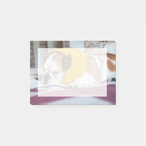 Getty Images  English Bulldog Post_it Notes