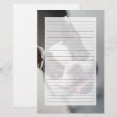 Getty Images | French Bulldog (Front/Back)