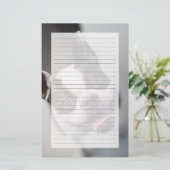 Getty Images | French Bulldog (Standing Front)