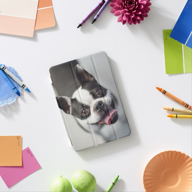 Getty Images | French Bulldog iPad Mini Cover (In Situ)