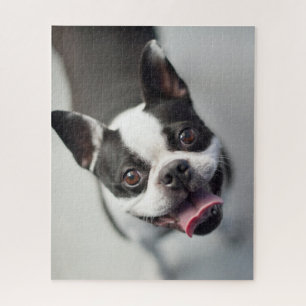 Getty Images French Bulldog Jigsaw Puzzle