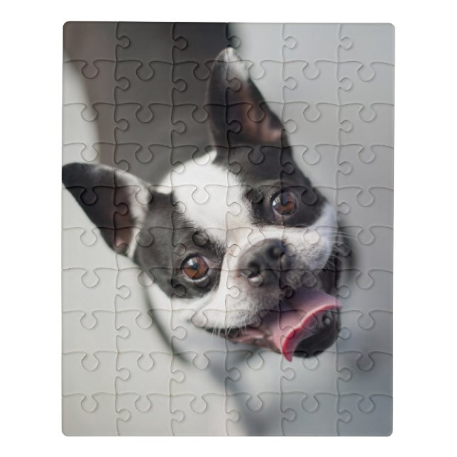 Getty Images | French Bulldog Jigsaw Puzzle (Puzzle Vertical)