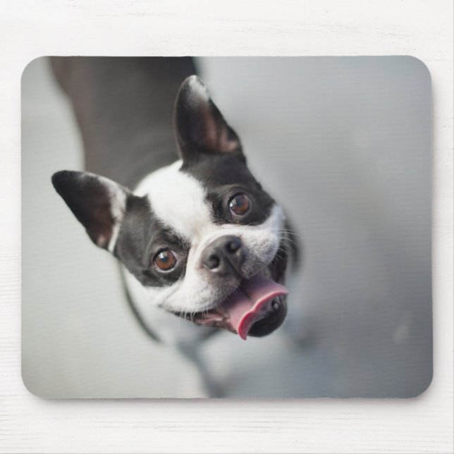 Getty Images | French Bulldog Mouse Pad (Front)