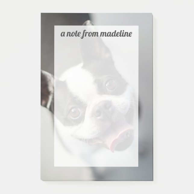 Getty Images | French Bulldog Post-it Notes (Front)