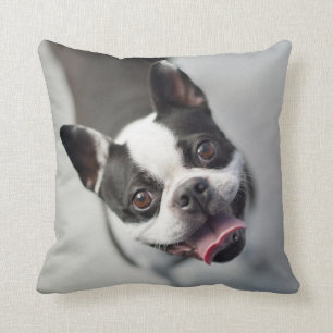 Getty Images French Bulldog Throw Pillow