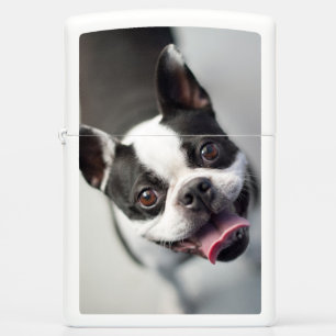 Getty Images French Bulldog Zippo Lighter