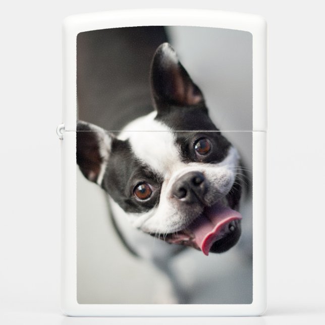 Getty Images | French Bulldog Zippo Lighter (Front)