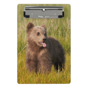 Getty Images   Funny Baby Bear Mini Clipboard