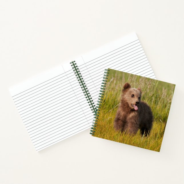 Getty Images | Funny Baby Bear Notebook (Inside)