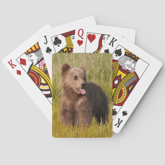 Getty Images | Funny Baby Bear Poker Cards (Back)