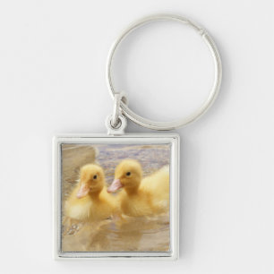 Getty Images Fuzzy Yellow Ducklings Keychain