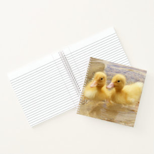 Getty Images Fuzzy Yellow Ducklings Notebook