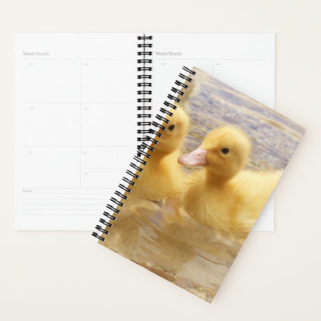 Getty Images | Fuzzy Yellow Ducklings Planner (Display)