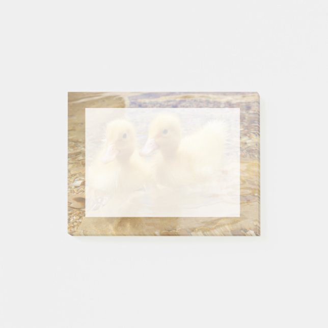 Getty Images | Fuzzy Yellow Ducklings Post-it Notes (Front)