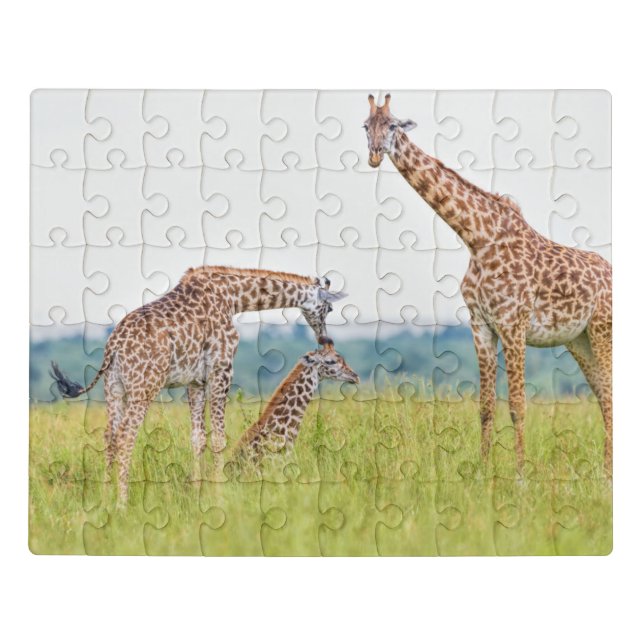 Getty Images | Giraffe Family Jigsaw Puzzle (Puzzle Horizontal)