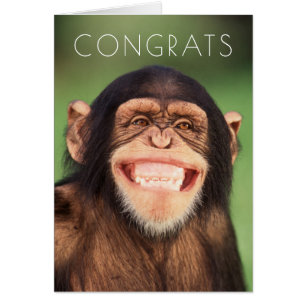 Getty Images Grinning Chimpanzee