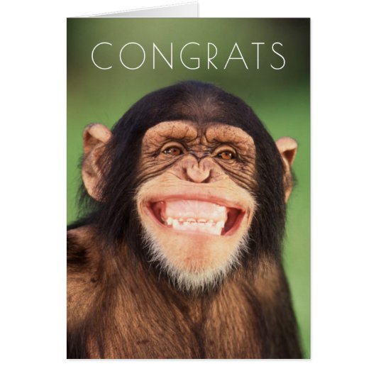 Getty Images | Grinning Chimpanzee Cards (Front)