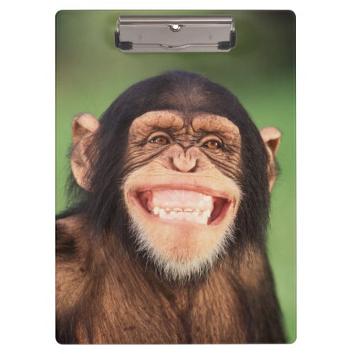 Getty Images  Grinning Chimpanzee Clipboard