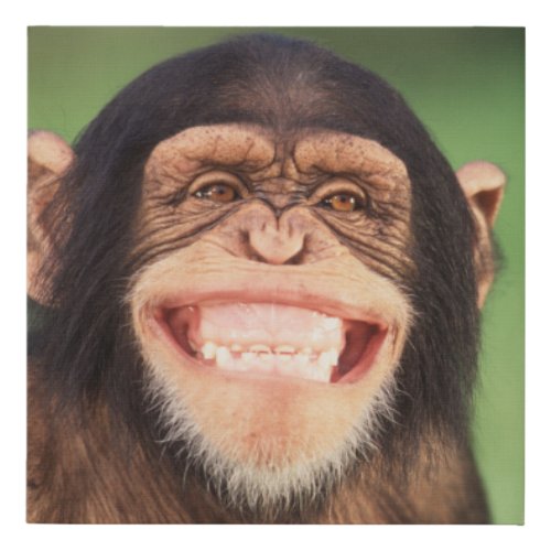 Getty Images  Grinning Chimpanzee Faux Canvas Print