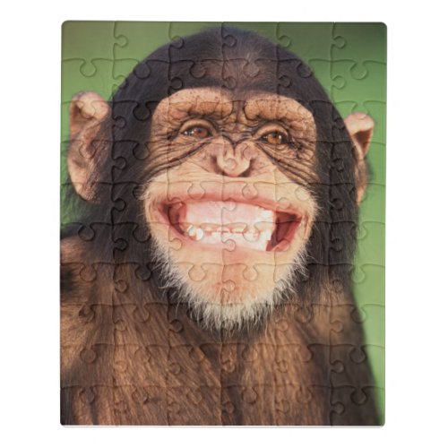 Getty Images  Grinning Chimpanzee Jigsaw Puzzle