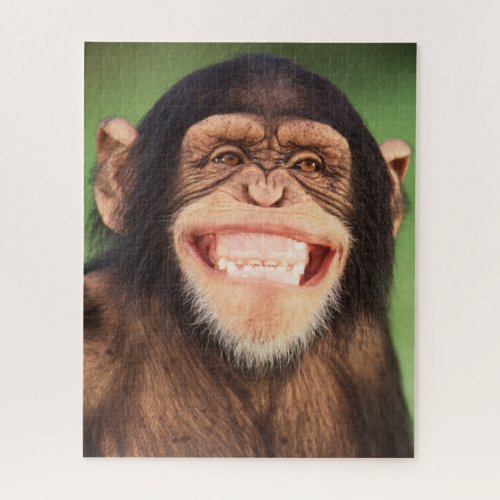 Getty Images  Grinning Chimpanzee Jigsaw Puzzle
