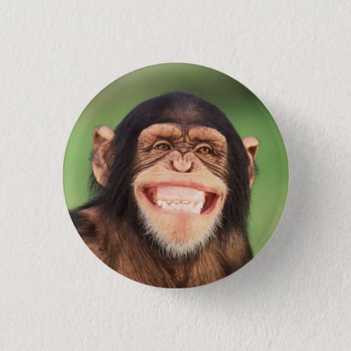 Getty Images  Grinning Chimpanzee Pinback Button