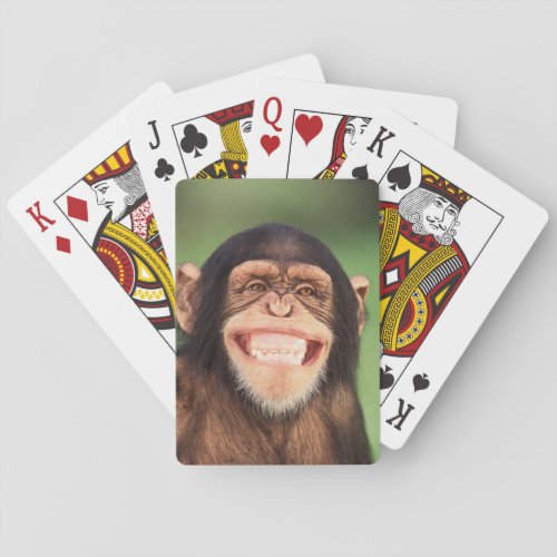 Getty Images  Grinning Chimpanzee Playing Cards