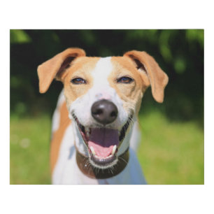 Getty Images Laughing Dog Faux Canvas Print