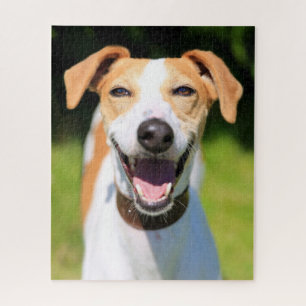 Getty Images Laughing Dog Jigsaw Puzzle