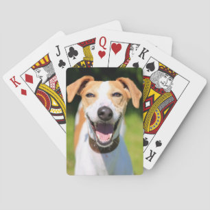 Getty Images Laughing Dog Poker Cards
