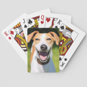 Getty Images Laughing Dog Poker Cards