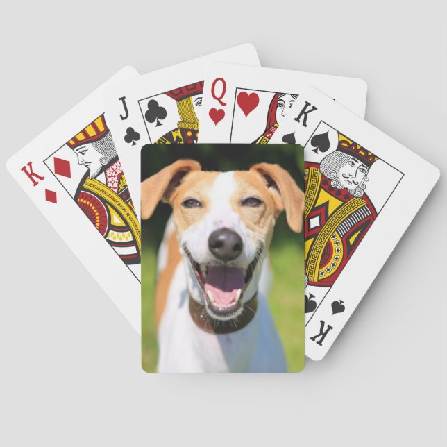 Getty Images | Laughing Dog Poker Cards (Back)