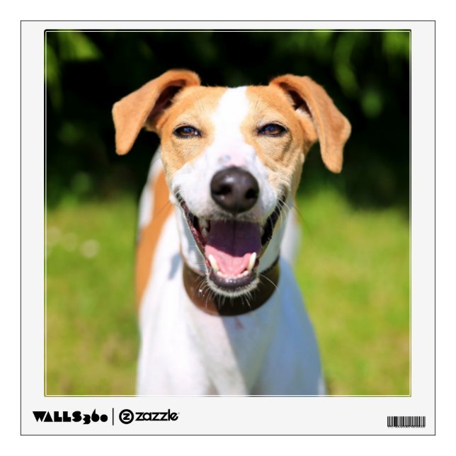 Getty Images | Laughing Dog Wall Sticker (Front)