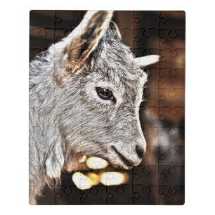 Getty Images   Little Goat Jigsaw Puzzle