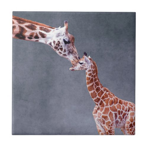 Getty Images  Mother  Baby Giraffe Ceramic Tile