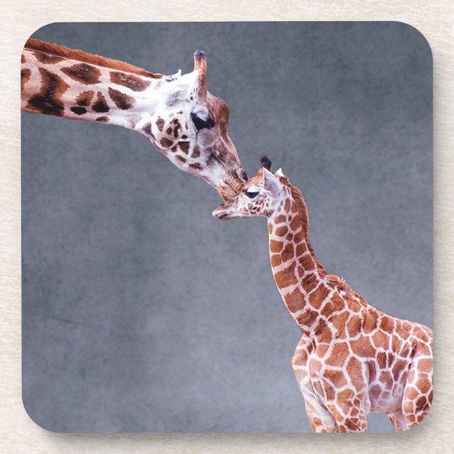 Getty Images | Mother & Baby Giraffe Drink Coaster (Front)