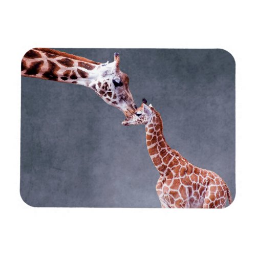 Getty Images  Mother  Baby Giraffe Magnet