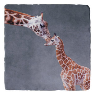 Getty Images   Mother & Baby Giraffe Trivet