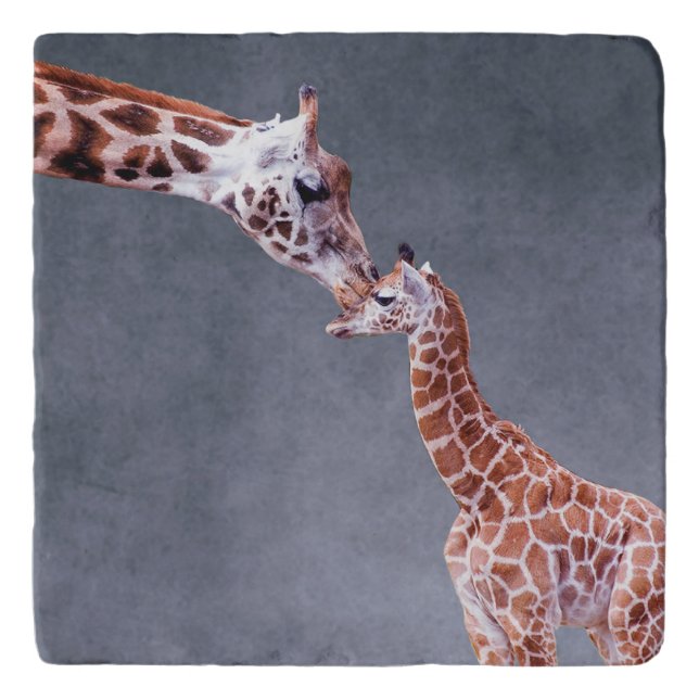 Getty Images | Mother & Baby Giraffe Trivet (Front)