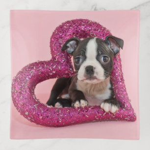 Getty Images Puppy Love Trinket Tray