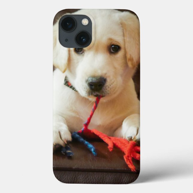 Getty Images | Puppy On A Sofa Case-Mate iPhone Case (Back)