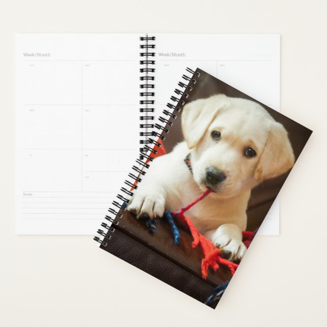 Getty Images | Puppy On A Sofa Planner (Display)