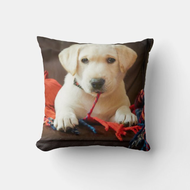 Getty Images | Puppy On A Sofa Throw Pillow (Front)