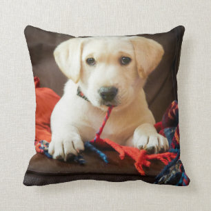 Getty Images Puppy On A Sofa Throw Pillow