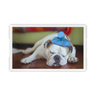 Getty Images Sick Young Puppy Acrylic Tray