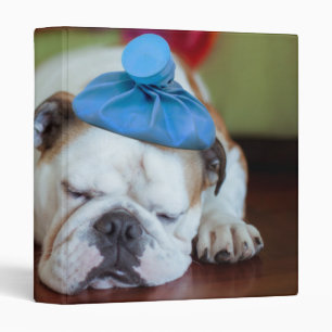 Getty Images Sick Young Puppy Binder