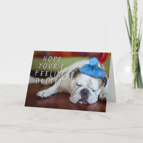 Getty Images  Sick Young Puppy Card