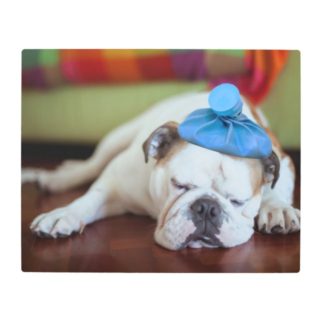 Getty Images | Sick Young Puppy Metal Print (Front)
