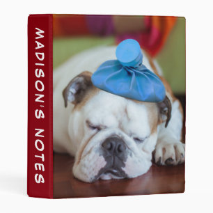 Getty Images   Sick Young Puppy Mini Binder