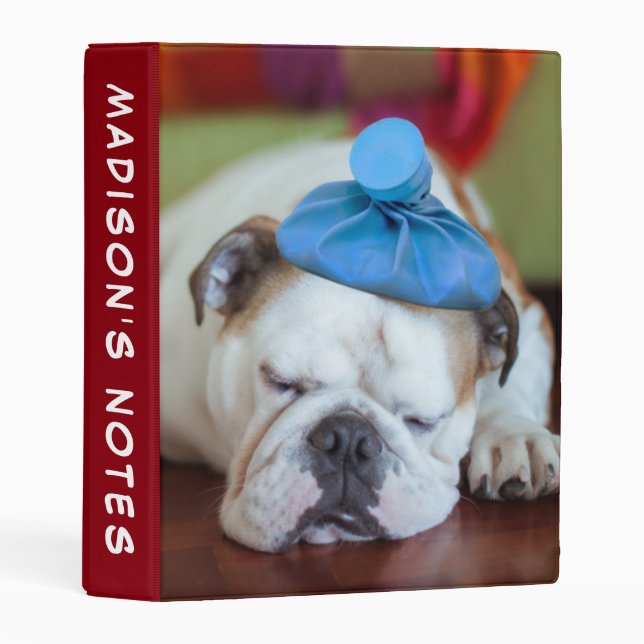 Getty Images | Sick Young Puppy Mini Binder (Front/Spine)